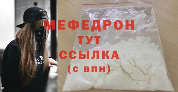 гашик Няндома