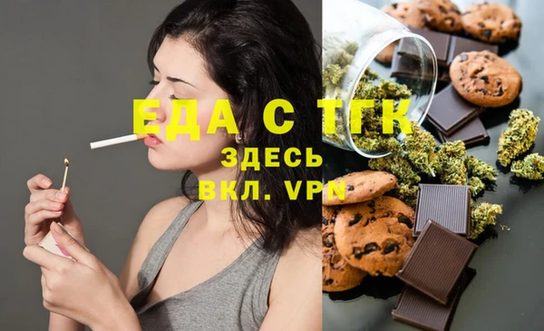гашик Няндома