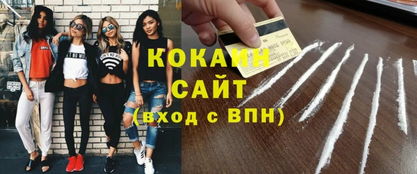 гашик Няндома