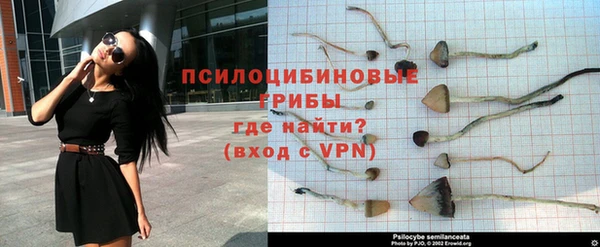 мдпв Нягань