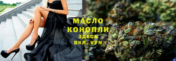 гашик Няндома