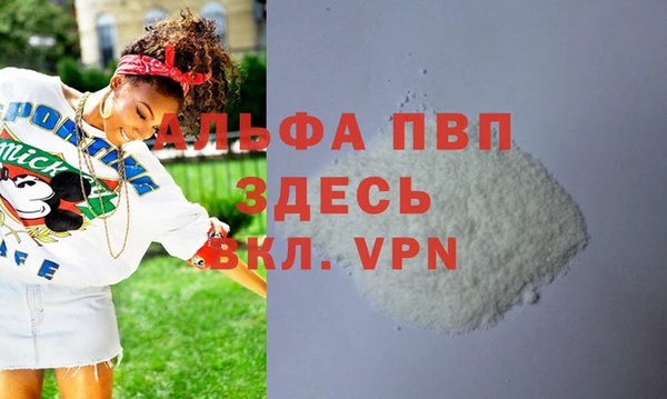 гашик Няндома