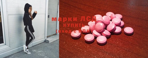 гашик Няндома