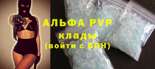 прущие грибы Волоколамск