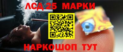 молекула духа Будённовск