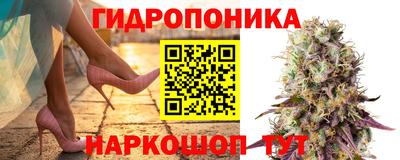 молекула духа Будённовск