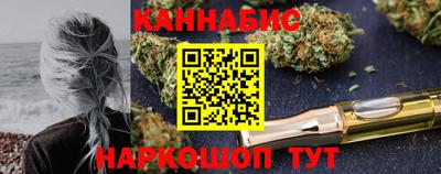 молекула духа Будённовск