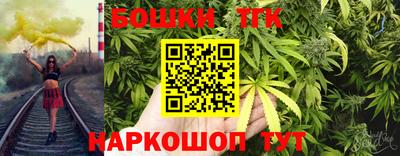 молекула духа Будённовск