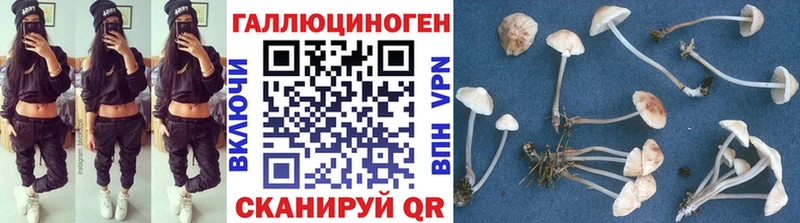 Псилоцибиновые грибы прущие грибы  Ртищево 