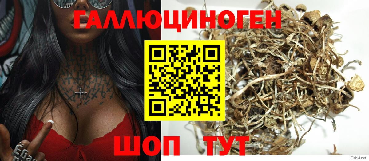 Галлюциногенные грибы Cubensis Ртищево