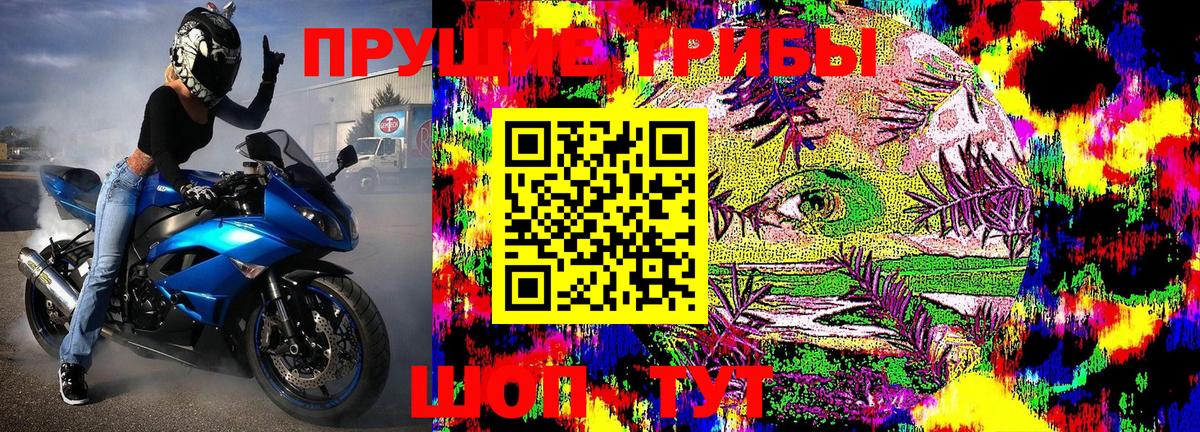 Галлюциногенные грибы Psilocybe  Галлюциногенные грибы MAGIC MUSHROOMS  Вход с VPN  Ртищево 